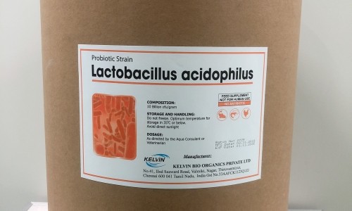 LACTOBACILLUS Men vi sinh đường ruột hàm lượng 10 tỷ