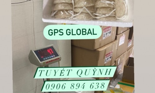 Vận chuyển quốc tế GPS Global