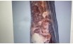Bán Thịt Nạm Gàu TrÂu Nhập Khẩu Đông Lạnh Giá Rẻ Tại Hà Nội