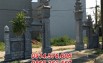 mẫu 37 cổng đá đẹp bán đà nẵng, trụ cột cổng chùa nhà thờ