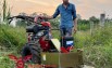 [Miễn phí vận chuyển] Máy cắt cỏ voi, cây bắp đẩy tay Kawasaki BM91 mâ
