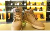 Nhà cung cấp giày bảo hộ Jogger tại Lai Châu uy tín