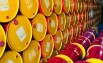 Nhà phân phối dầu nhớt Shell công nghiệp và tận tải uy tín nhất TPHCM